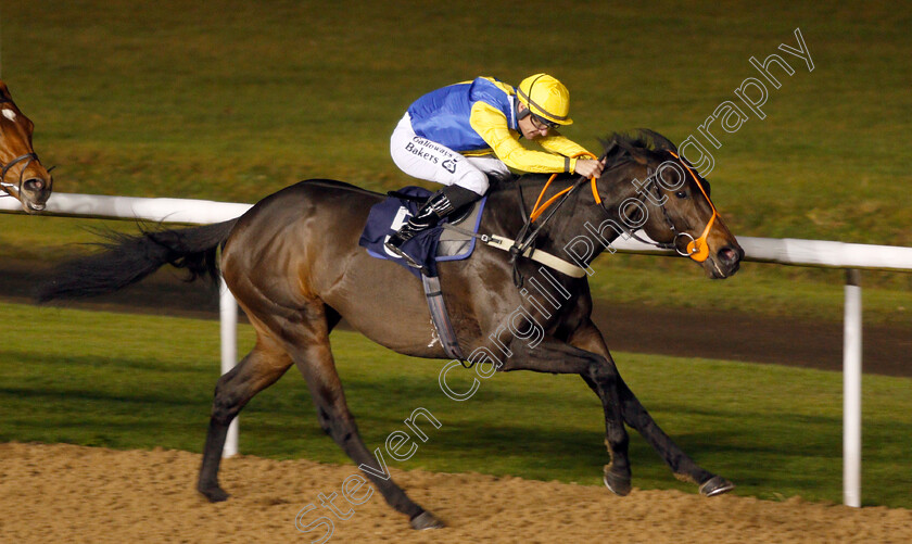 Blue-Medici-0004 
 BLUE MEDICI (Richard Kingscote) wins The Betway Heed Your Hunch Handicap
Wolverhampton 26 Nov 2019 - Pic Steven Cargill / Racingfotos.com