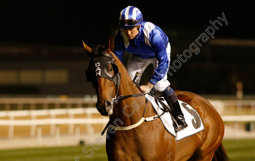 Faatinah-0001 
 FAATINAH (Jim Crowley)
Meydan 14 Feb 2019 - Pic Steven Cargill / Racingfotos.com