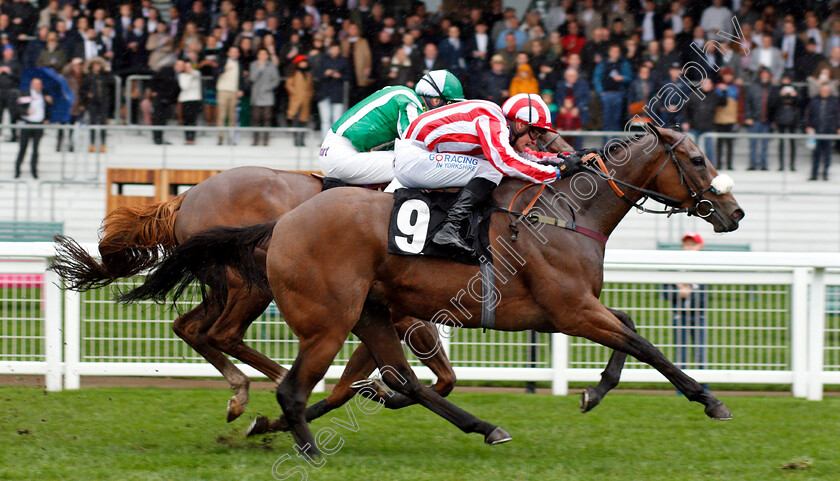 Intense-Romance-0002 
 INTENSE ROMANCE (Callum Rodriguez) wins The Duke Of Edinburgh's Award Rous Stakes
Ascot 6 Oct 2018 - Pic Steven Cargill / Racingfotos.com