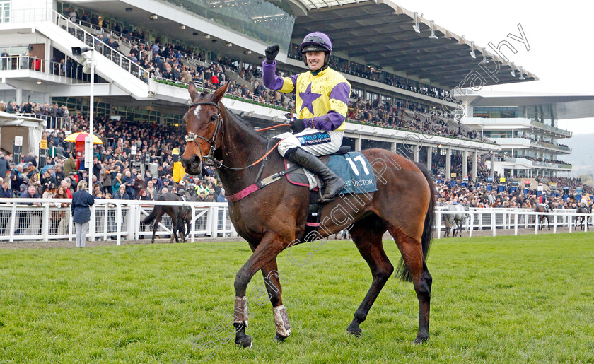 Happy-Diva-0013 
 HAPPY DIVA (Richard Patrick) after The BetVictor Gold Cup
Cheltenham 16 Nov 2019 - Pic Steven Cargill / Racingfotos.com