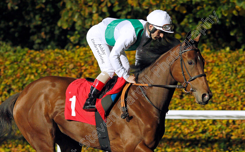 Arab-Cinder 
 ARAB CINDER (Andrea Atzeni)
Kempton 10 Nov 2021 - Pic Steven Cargill / Racingfotos.com