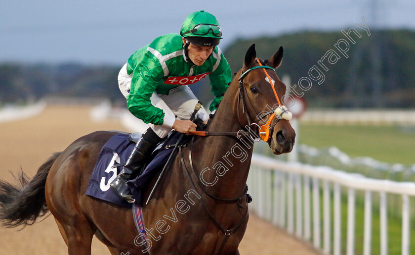 Desert-Falcon-0001 
 DESERT FALCON (Luke Morris)
Southwell 4 Oct 2022 - Pic Steven Cargill / Racingfotos.com