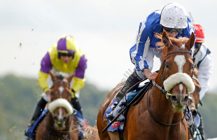 Marhaba-The-Champ-0005 
 MARHABA THE CHAMP (Ryan Moore) wins The Sky Bet Handicap
York 25 Aug 2023 - Pic Steven Cargill / Racingfotos.com