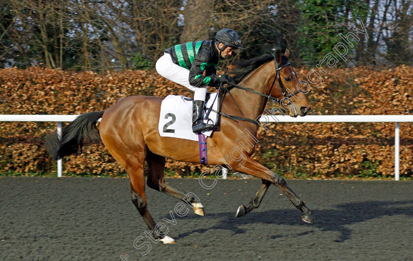 Banbrook-Boy-0001 
 BANBROOK BOY (Dayverson De Barros)
Kempton 16 Feb 2022 - Pic Steven Cargill / Racingfotos.com