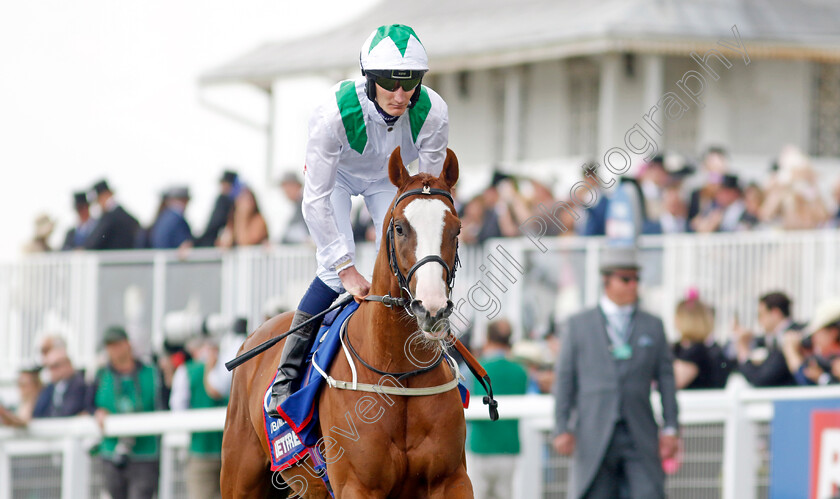 Dubai-Mile-0001 
 DUBAI MILE (Daniel Muscutt)
Epsom 3 Jun 2023 - Pic Steven Cargill / Racingfotos.com