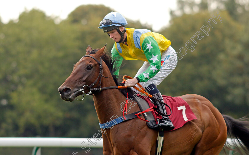 Jordan-Electrics-0001 
 JORDAN ELECTRICS (Aiden Brookes)
Haydock 2 Sep 2022 - Pic Steven Cargill / Racingfotos.com