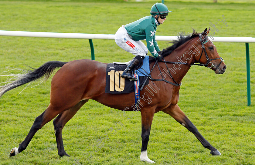 Nashwa-0002 
 NASHWA (Hollie Doyle)
Newmarket 30 Oct 2021 - Pic Steven Cargill / Racingfotos.com