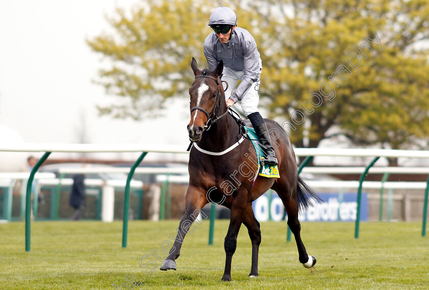 Space-Traveller-0001 
 SPACE TRAVELLER (Daniel Tudhope)
Newmarket 16 Apr 2019 - Pic Steven Cargill / Racingfotos.com