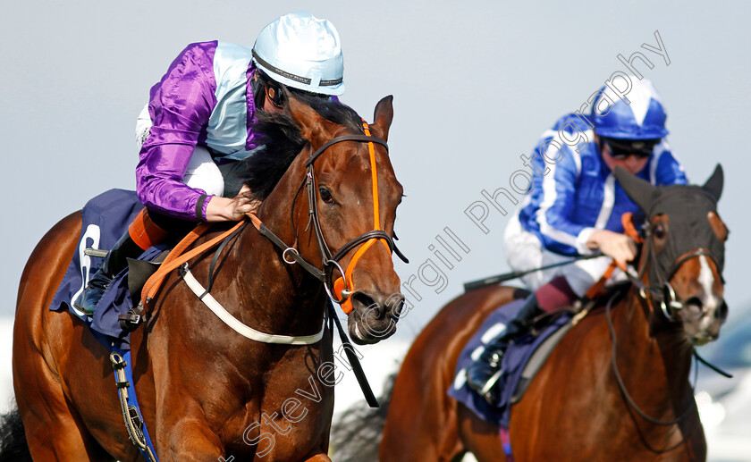 Hold-A-Dream-0001 
 HOLD A DREAM (Rossa Ryan) wins The Britiish EBF Fillies Novice Stakes
Yarmouth 18 Sep 2024 - Pic Steven Cargill / Racingfotos.com