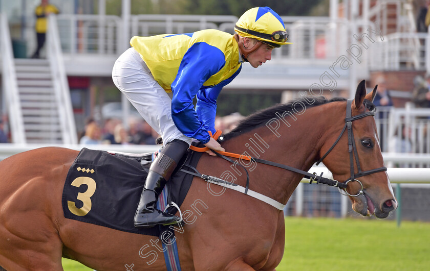 Tantastic-0002 
 TANTASTIC (George Eddery)
Nottingham 22 Apr 2023 - pic Steven Cargill / Becky Bailey / Racingfotos.com