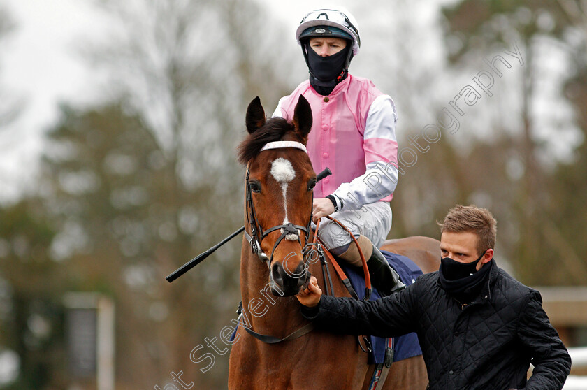 Attracted-0003 
 ATTRACTED (Richard Kingscote) winner of The Bombardier Novice Stakes
Lingfield 19 Feb 2021 - Pic Steven Cargill / Racingfotos.com