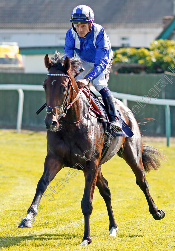 Maqtal-0002 
 MAQTAL (Jim Crowley) winner of The British Stallion Studs EBF Maiden Stakes
Yarmouth 18 Sep 2019 - Pic Steven Cargill / Racingfotos.com