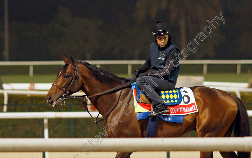 Country-Grammer-0002 
 COUNTRY GRAMMER training for the Dubai World Cup
Meydan, Dubai, 22 Mar 2022 - Pic Steven Cargill / Racingfotos.com