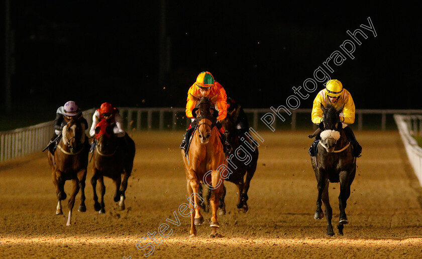 Secratario-0003 
 SECRATARIO (centre, Shane Kelly) beats LET'S BE HAPPY (right) in The Hellermanntyton Protection Claiming Stakes
Wolverhampton 5 Sep 2018 - Pic Steven Cargill / Racingfotos.com