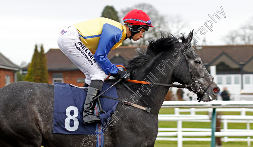 Maratha-0002 
 MARATHA (Sean Levey) Lingfield 13 Dec 2017 - Pic Steven Cargill / Racingfotos.com