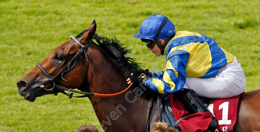 Trueshan-0005 
 TRUESHAN (Hollie Doyle) wins The Al Shaqab Goodwood Cup
Goodwood 27 Jul 2021 - Pic Steven Cargill / Racingfotos.com