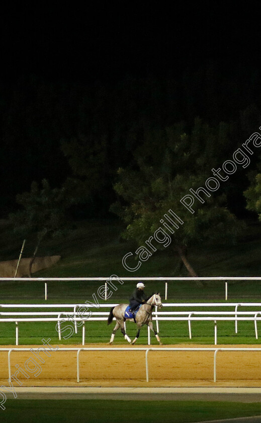 Saudi-Crown-0004 
 SAUDI CROWN out on track at 4am
Meydan, Dubai 1 Mar 2024 - Pic Steven Cargill / Racingfotos.com