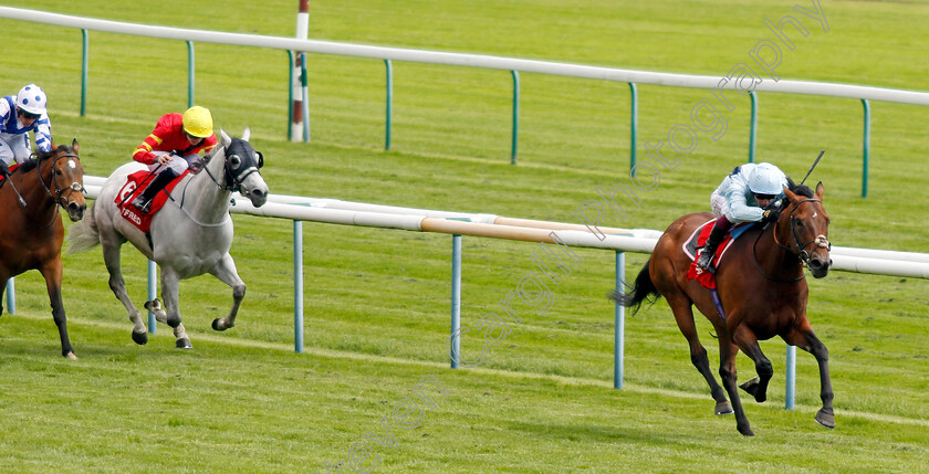 English-Oak-0004 
 ENGLISH OAK (Oisin Murphy) wins The Betfred Hattrick Heaven New Boston Handicap
Haydock 25 May 2024 - Pic Steven Cargill / Racingfotos.com