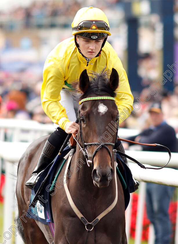 Gallovie-0001 
 GALLOVIE (Hollie Doyle)
Doncaster 13 Sep 2018 - Pic Steven Cargill / Racingfotos.com