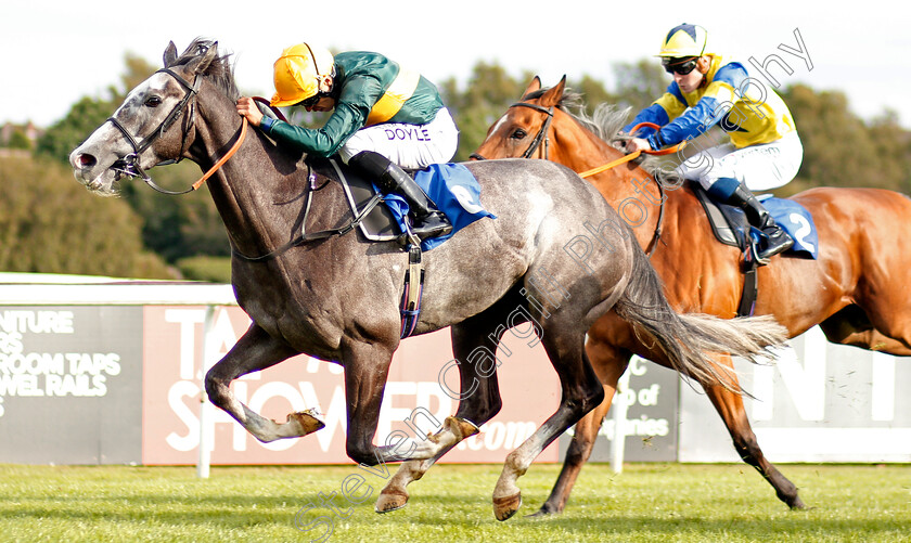 Chatham-House-0003 
 CHATHAM HOUSE (Sean Levey) wins The Mick Connolly Memorial Handicap
Leicester 10 Sep 2019 - Pic Steven Cargill / Racingfotos.com