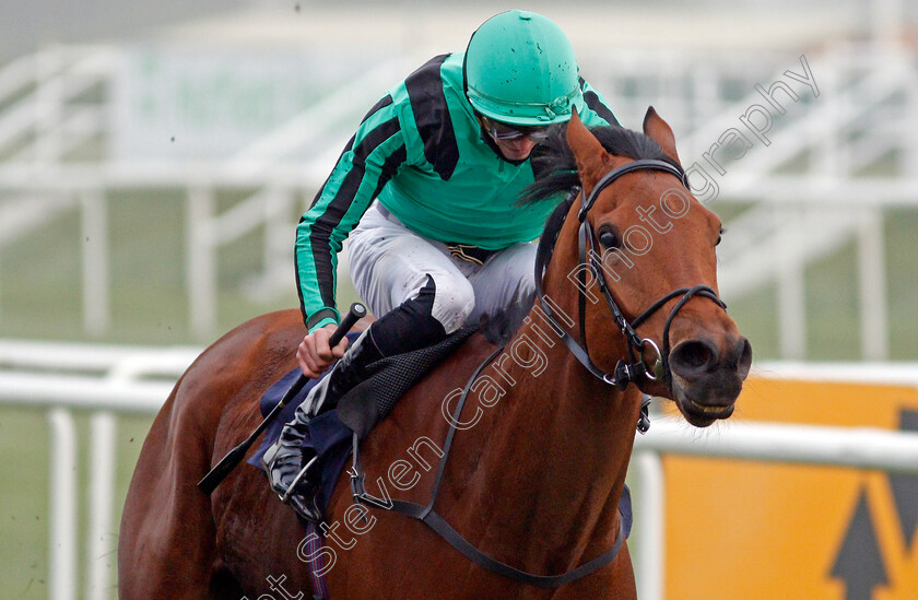 Banna-0006Stakes 
 BANNA (James Doyle) wins The Betfair Each Way Edge Novice Stakes
Doncaster 7 Nov 2020 - Pic Steven Cargill / Racingfotos.com