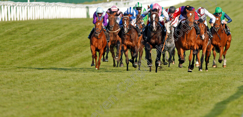 Daphne-0001 
 DAPHNE (right, Ryan Moore) beats WEEKENDER (centre) in The Dubai Duty Free Finest Surprise Handicap Newbury 23 Sep 2017 - Pic Steven Cargill / Racingfotos.com