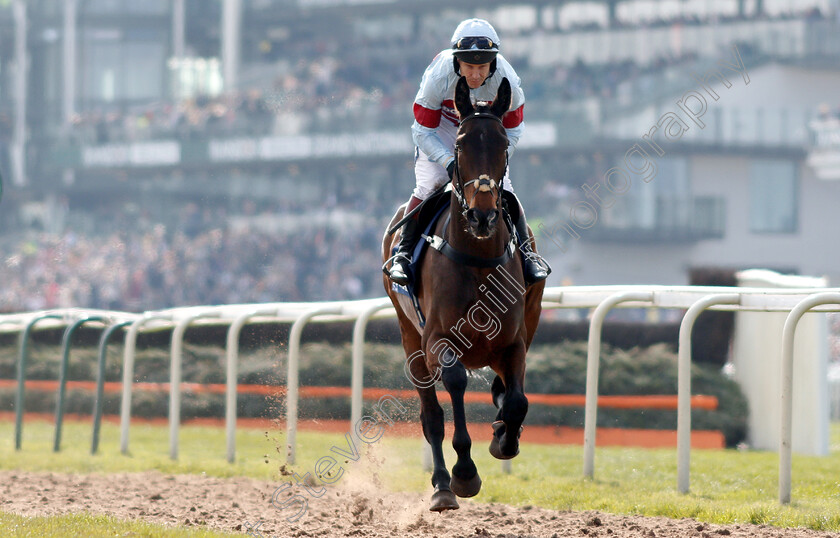 Lalor-0001 
 LALOR (Richard Johnson)
Aintree 6 Apr 2019 - Pic Steven Cargill / Racingfotos.com