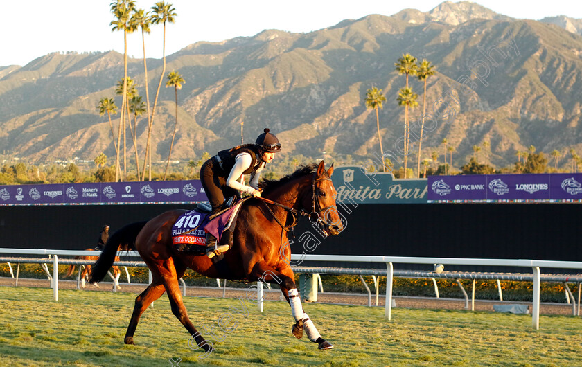 State-Occasion-0002 
 STATE OCCASION training for the Breeders' Cup Filly & Mare Turf
Santa Anita USA, 1 Nov 2023 - Pic Steven Cargill / Racingfotos.com