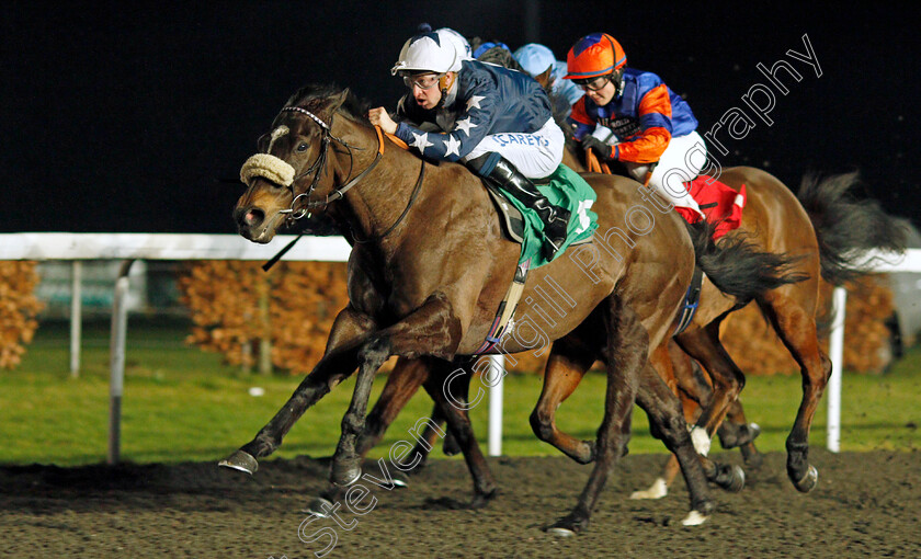 Independence-Day-0003 
 INDEPENDENCE DAY (Joey Haynes) wins The Happy 4th Birthday Alexandra Ford Classified Stakes
Kempton 16 Feb 2022 - Pic Steven Cargill / Racingfotos.com