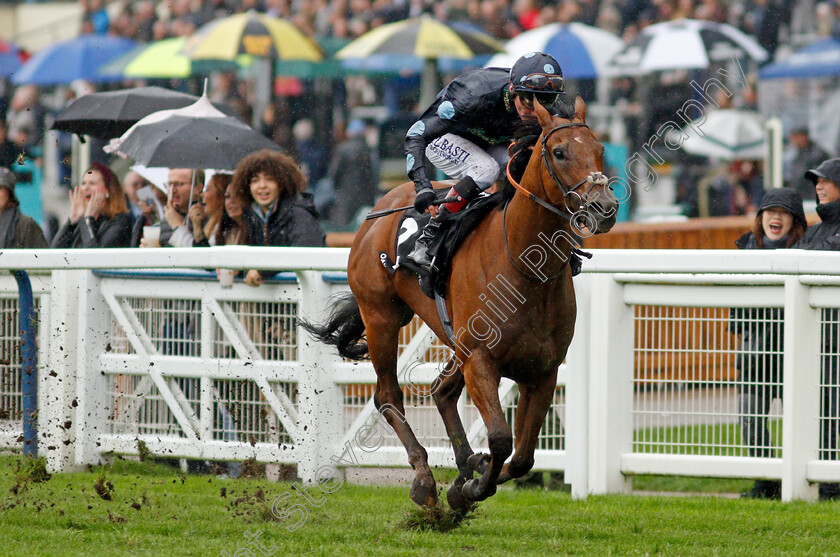 Tis-Marvellous-0006 
 TIS MARVELLOUS (Adam Kirby) wins The Oakman Group Rous Stakes
Ascot 2 Oct 2021 - Pic Steven Cargill / Racingfotos.com