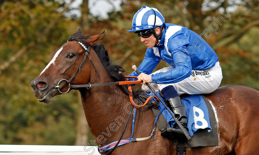 Thafeera-0009 
 THAFEERA (Jim Crowley) wins The British Stallion Studs EBF Lochsong Fillies Handicap Salisbury 7 Sep 2017 - Pic Steven Cargill / Racingfotos.com