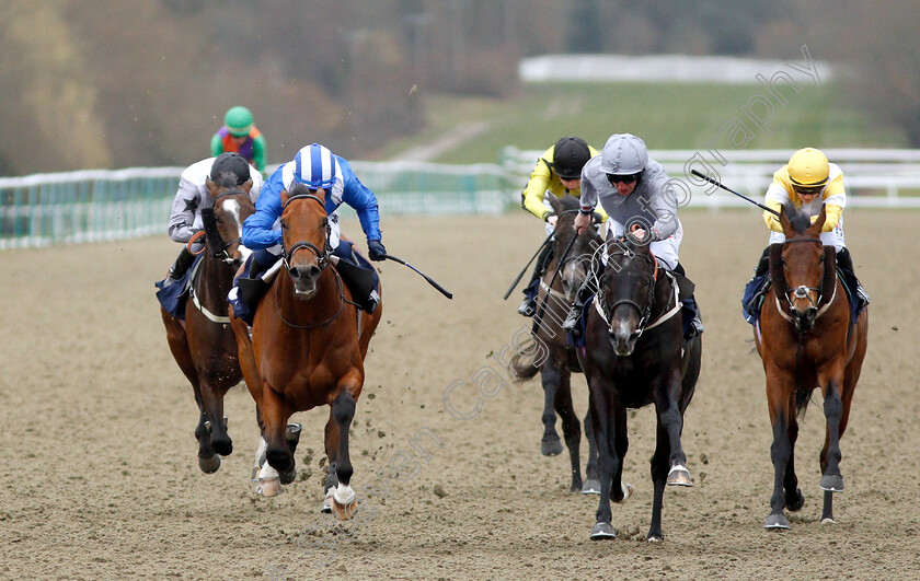 Fanaar-0004 
 FANAAR (left, Jim Crowley) beats DEEP INTRIGUE (2nd right) in The Ladbrokes Spring Cup Stakes
Lingfield 2 Mar 2019 - Pic Steven Cargill / Racingfotos.com