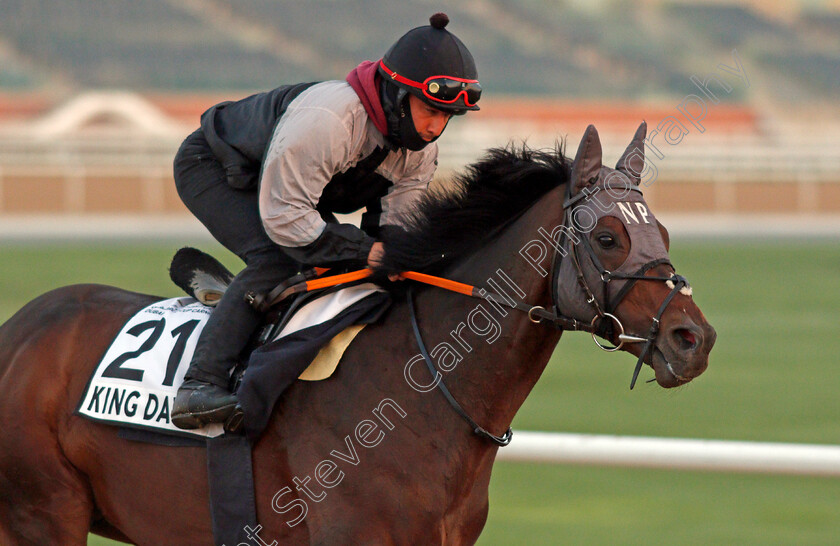 King-David-0001 
 KING DAVID exercising for trainer Niels Petersen
Meydan, Dubai, 3 Feb 2022 - Pic Steven Cargill / Racingfotos.com