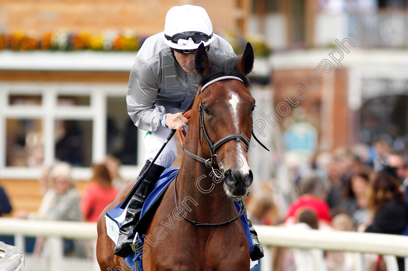 Victory-Day-0002 
 VICTORY DAY (Jamie Spencer)
York 15 Jun 2019 - Pic Steven Cargill / Racingfotos.com