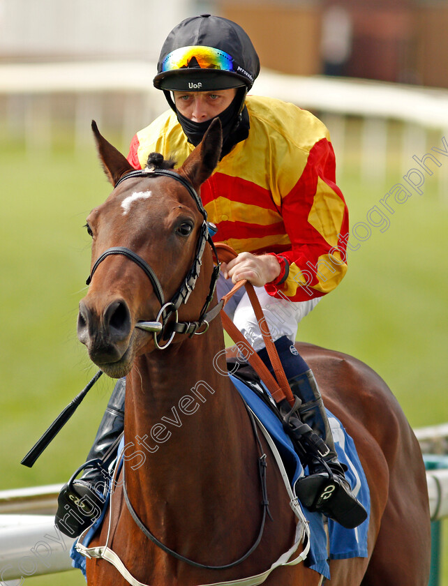 Gangway-0001 
 GANGWAY (Ben Curtis)
York 13 May 2021 - Pic Steven Cargill / Racingfotos.com