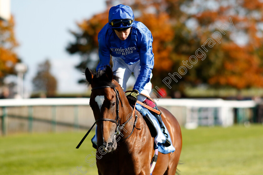 Midnight-Thunder-0002 
 MIDNIGHT THUNDER (Oisin Murphy)
Newmarket 11 Oct 2024 - Pic Steven Cargill / Racingfotos.com