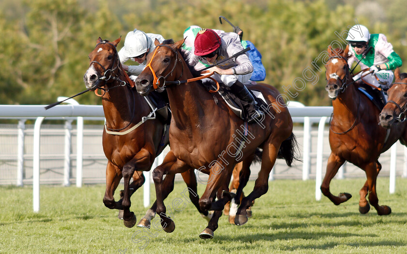 Medahim-0001 
 MEDAHIM (Ryan Moore) beats VALE OF KENT (left) in The Goodwood Racehorse Owners Group Handicap
Goodwood 1 Aug 2018 - Pic Steven Cargill / Racingfotos.com