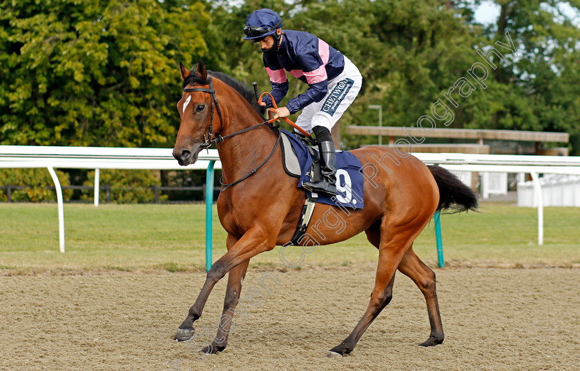 Miss-Mulligan-0001 
 MISS MULLIGAN (Harry Bentley)
Lingfield 4 Aug 2020 - Pic Steven Cargill / Racingfotos.com