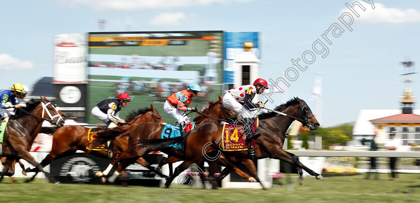 Souper-Escape-0001 
 SOUPER ESCAPE (Julian Pimentel)
Pimlico, Baltimore USA, 17 May 2019 - Pic Steven Cargill / Racingfotos.com