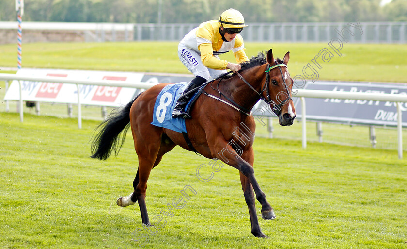 Wobwobwob-0005 
 WOBWOBWOB (Tom Marquand) wins The Sky Bet Handicap
York 12 May 2021 - Pic Steven Cargill / Racingfotos.com