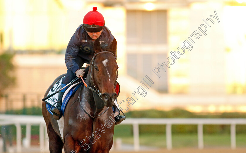 Logo-Hunter-0002 
 LOGO HUNTER training at the Dubai World Cup Carnival
Meydan 5 Jan 2023 - Pic Steven Cargill / Racingfotos.com