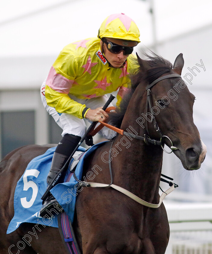 Bopedro-0001 
 BOPEDRO (Jason Watson)
Epsom 31 May 2024 - Pic Steven Cargill / Racingfotos.com