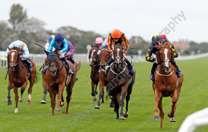 Tarbaan-0005 
 TARBAAN (Kevin Stott) wins The EAAA East Coast Air Ambulance Handicap
Yarmouth 19 Sep 2023 - Pic Steven Cargill / Racingfotos.com