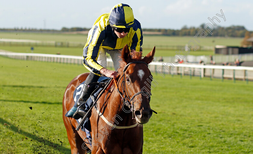 Wind-Your-Neck-In-0005 
 WIND YOUR NECK IN (Ryan Moore) wins The British EBF Future Stayers Nursery
Newmarket 20 Oct 2021 - Pic Steven Cargill / Racingfotos.com