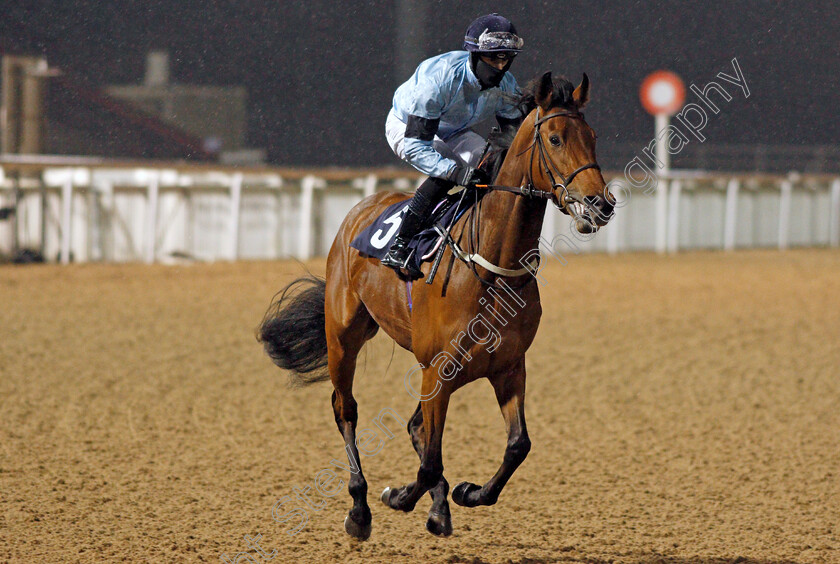 Petalite-0002 
 PETALITE (Richard Kingscote)
Wolverhampton 4 Jan 2021 - Pic Steven Cargill / Racingfotos.com