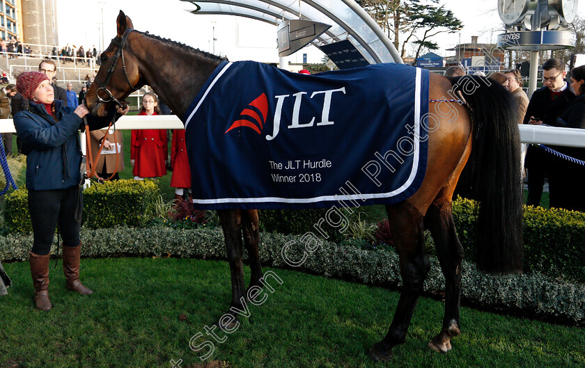 Paisley-Park-0015 
 PAISLEY PARK after The JLT Long Walk Hurdle
Ascot 22 Dec 2018 - Pic Steven Cargill / Racingfotos.com