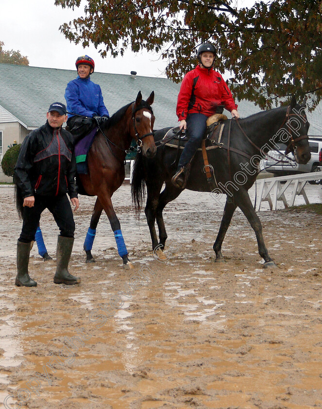 Enable-0006 
 ENABLE (Frankie Dettori) exercising ahead of The Breeders Cup Turf
Churchill Downs USA 1 Nov 2018 - Pic Steven Cargill / Racingfotos.com