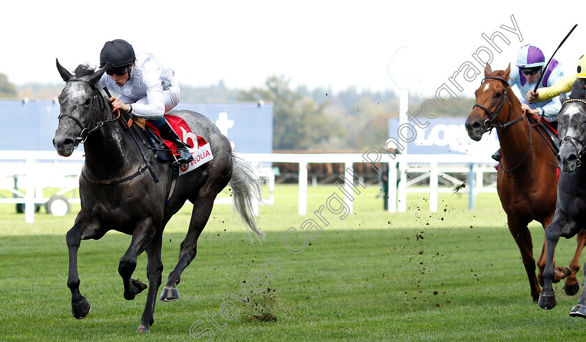 Lush-Life-0001 
 LUSH LIFE (William Buick) wins The Veolia Handicap
Ascot 5 Oct 2018 - Pic Steven Cargill / Racingfotos.com