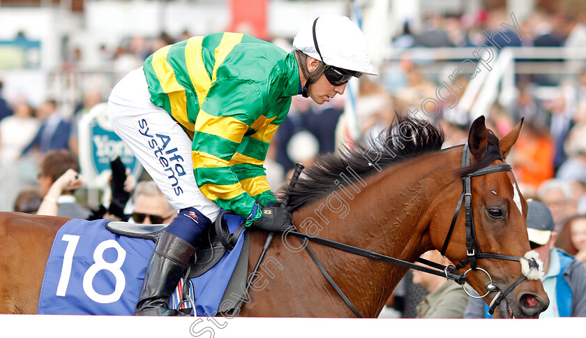 Benaud 
 BENAUD (Jim Crowley)
York 20 Aug 2022 - Pic Steven Cargill / Racingfotos.com