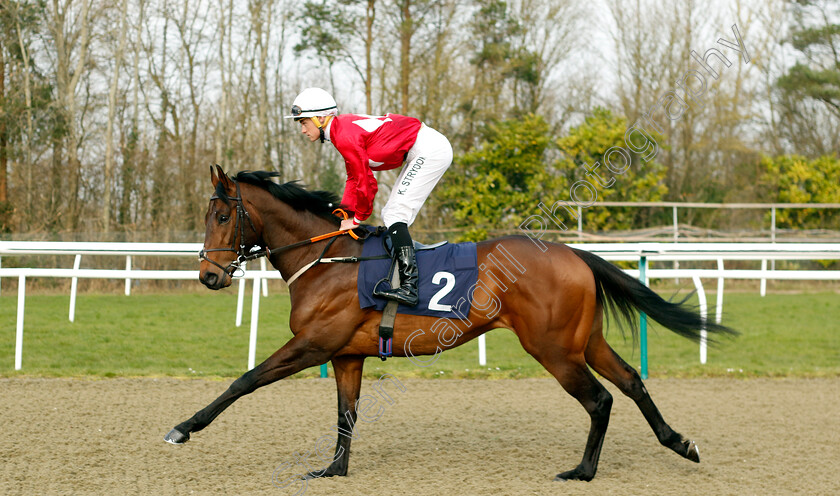 Aljezur-0001 
 ALJEZUR (Kyle Strydom)
Lingfield 7 Mar 2024 - Pic Steven Cargill / Racingfotos.com